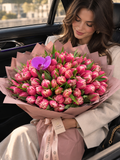 Pembe Lale İhtişamı