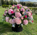 Velvet Box Arrangement
