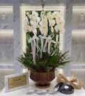 Fluted Urn Orchid Set