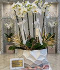 Grand White Orchid