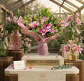 Blush Lily Royale