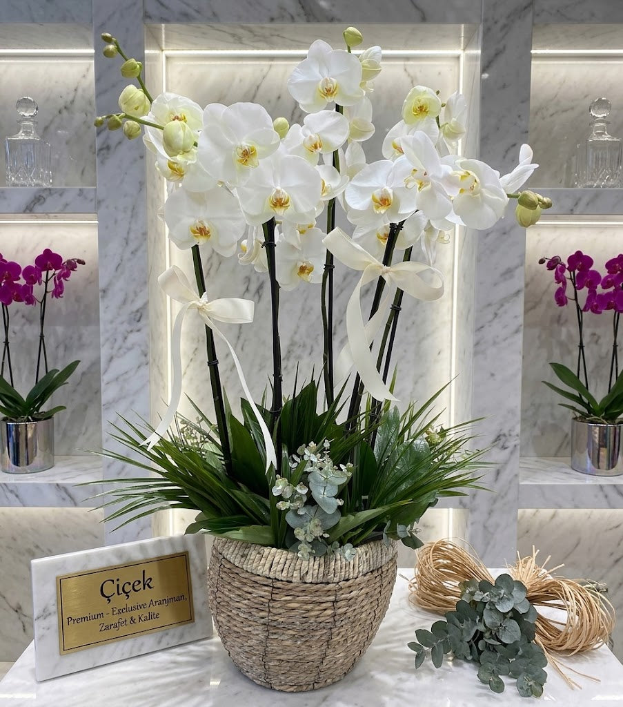 Natural Wicker Basket Orchid Set