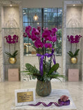 Royal Purple Passion
