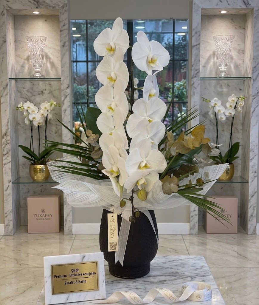 Onyx Ceramic Orchid Set