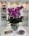 Ceramic Orchid Set