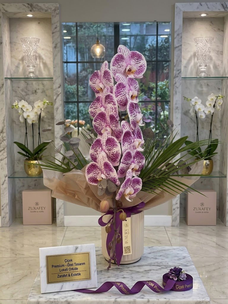 Purple Velvet Spot Orchid
