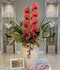 Sunset Coral Orchid