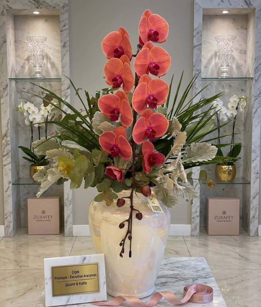 Sunset Coral Orchid
